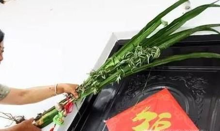 夏季驱蚊有什么办法？