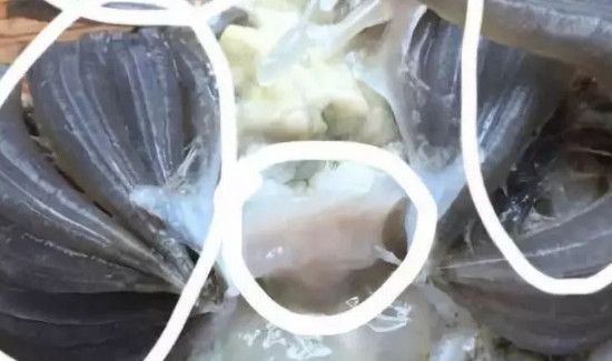 怎么处理螃蟹