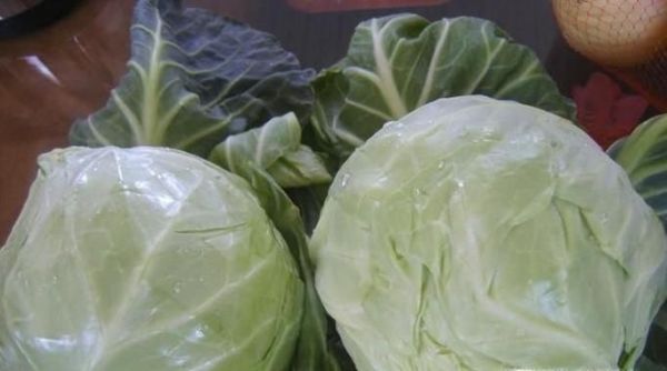 如何用卷心菜腌制泡菜