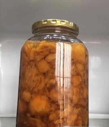 蜜制枇杷的家庭制作方法