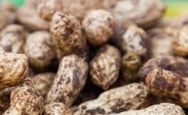 花生高产有哪些施肥技巧