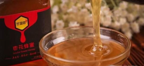 野蜜蜂捕捉技巧