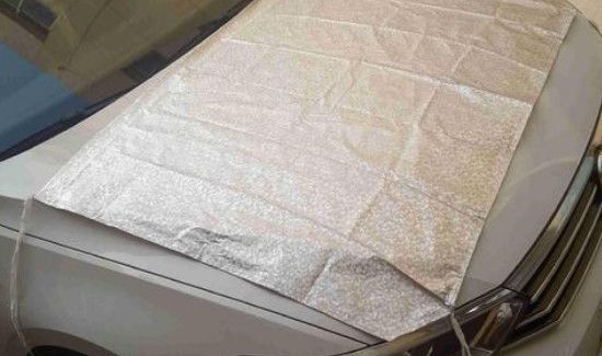 怎么防止麻雀往车上拉粪