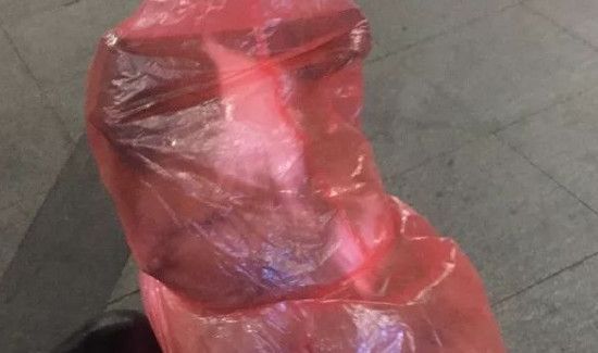 怎么防止麻雀捕庄稼