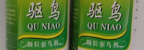 怎么防止麻雀吃果子