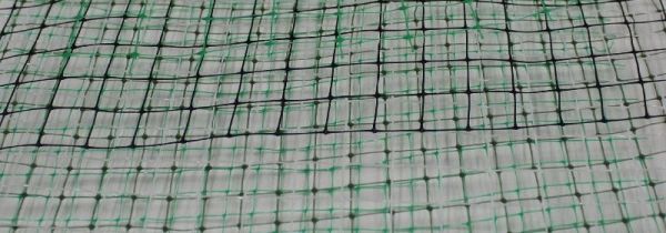 怎么防止麻雀吃种子