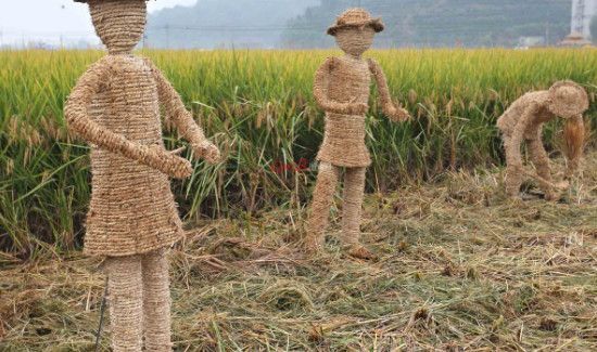 怎么防止麻雀吃种子