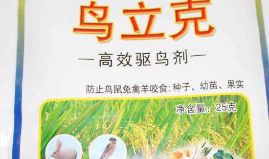 怎么防止麻雀吃种子