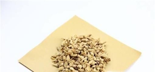 中药合成驱蚊包