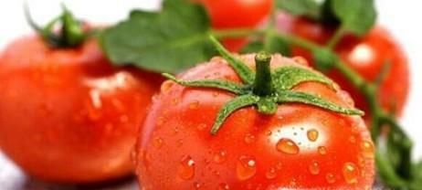 西红柿怎样快速去皮？十招教你巧去皮？