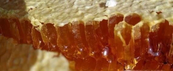 土蜂蜜多少钱一斤