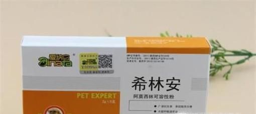 得了肠胃炎怎么办 狗狗肠胃炎该如何照顾