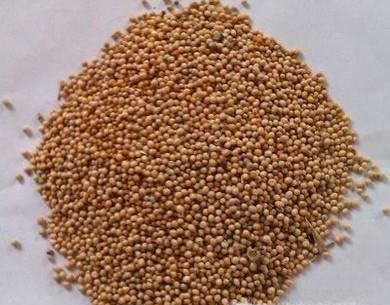 花红小黑膏使用方法