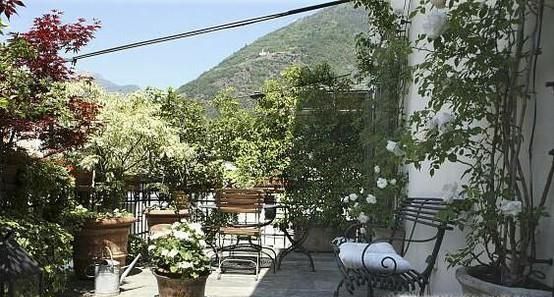 养花有小飞虫怎么办