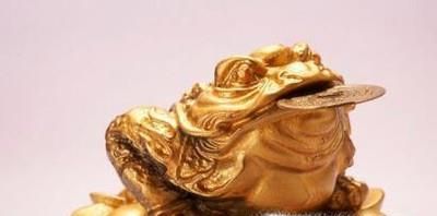 如何摆放金蟾会旺财？