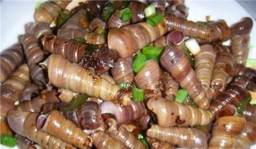 海边的丁螺怎么吃