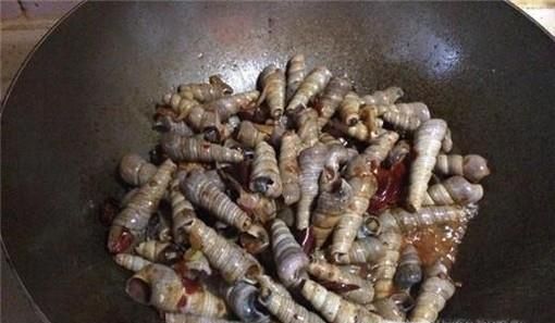 海边的丁螺怎么吃