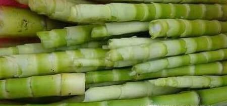 苦竹笋的功效和作用有哪些？如何挑选苦竹笋