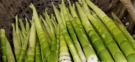 苦竹笋的功效和作用有哪些？如何挑选苦竹笋