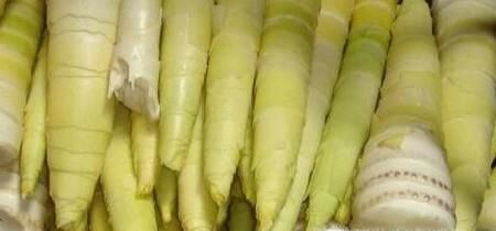 苦竹笋的功效和作用有哪些？如何挑选苦竹笋