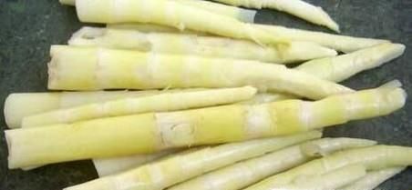 苦竹笋的功效和作用有哪些？如何挑选苦竹笋