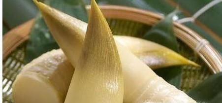 苦竹笋的功效和作用有哪些？如何挑选苦竹笋