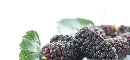 桑葚的功效和作用有哪些？如何挑选桑葚