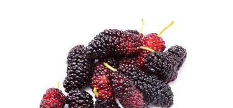 桑葚的功效和作用有哪些？如何挑选桑葚