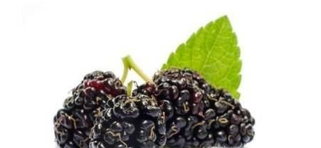 桑葚的功效和作用有哪些？如何挑选桑葚