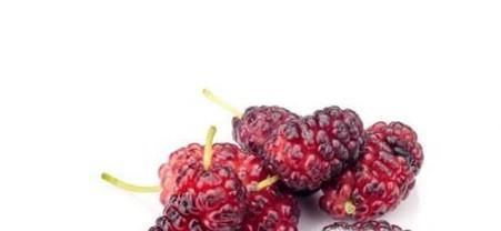 桑葚的功效和作用有哪些？如何挑选桑葚