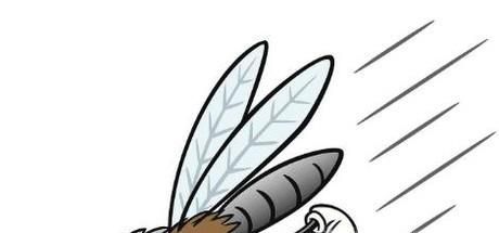 吸引蚊子的方法