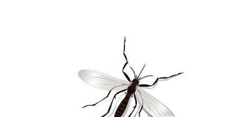 吸引蚊子的方法