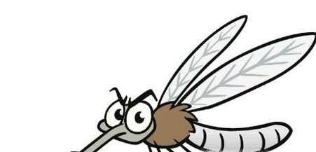 吸引蚊子的方法