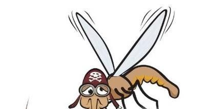 吸引蚊子的方法