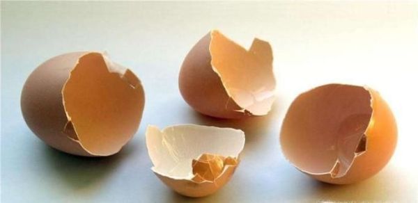 怎样正确清理玻璃制品