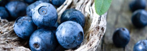 蓝莓山楂的功效与作用