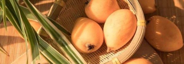 新鲜枇杷可以放在冰箱放几天