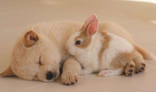 为什么不能直接睡地板上