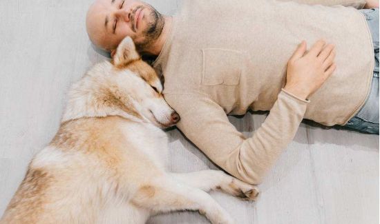 为什么不能直接睡地板上