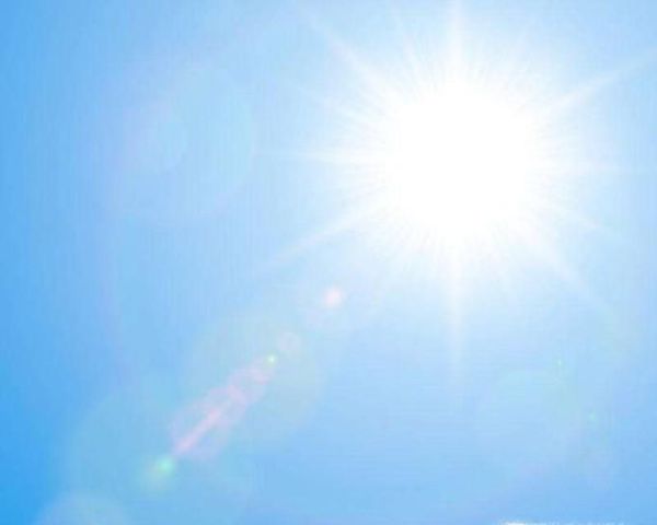 多肉海豹水泡怎么养