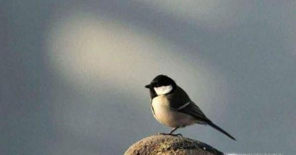 如何掌握那些应该尽早学会的道理？