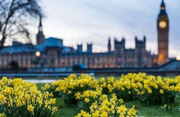 如何掌握那些应该尽早学会的道理？