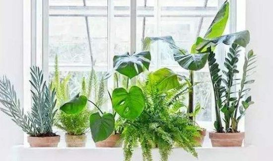 开暖气太干上火怎么办