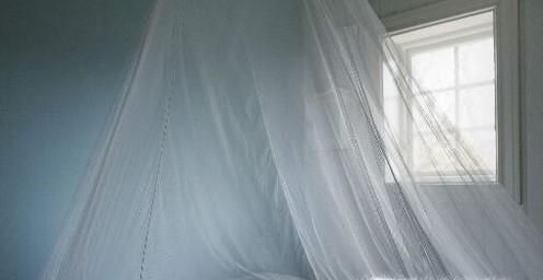 家里有蚊子怎么办？如何才能防蚊？
