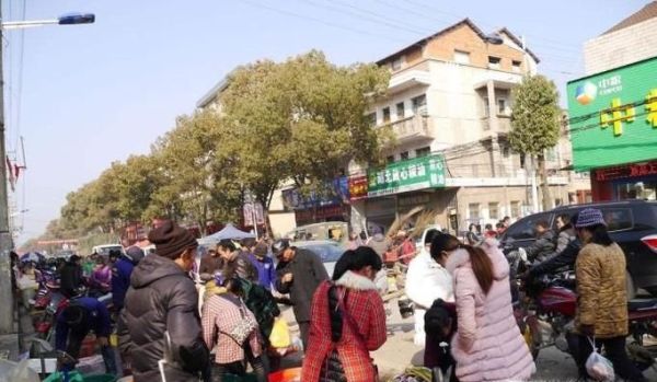 教你几句简单的四川话