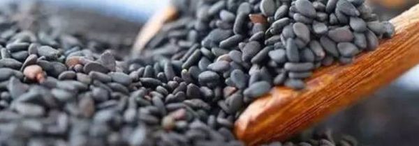 黑芝麻不炒可以煮粥么