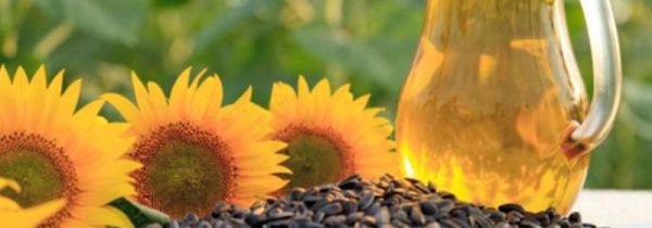 玉米油和葵花籽油的区别