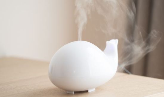 冬天开空调需要加湿器吗