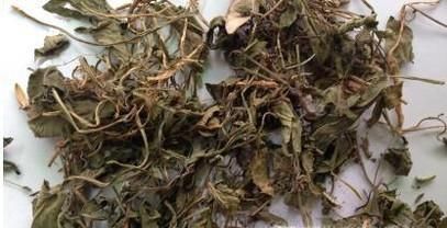 怎么用好苦地丁