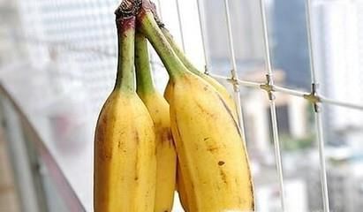 香蕉和芭蕉应该这样去进行区分